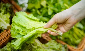 How to Pick and Wash Lettuce Amid Parasite and Bacterial Outbreaks