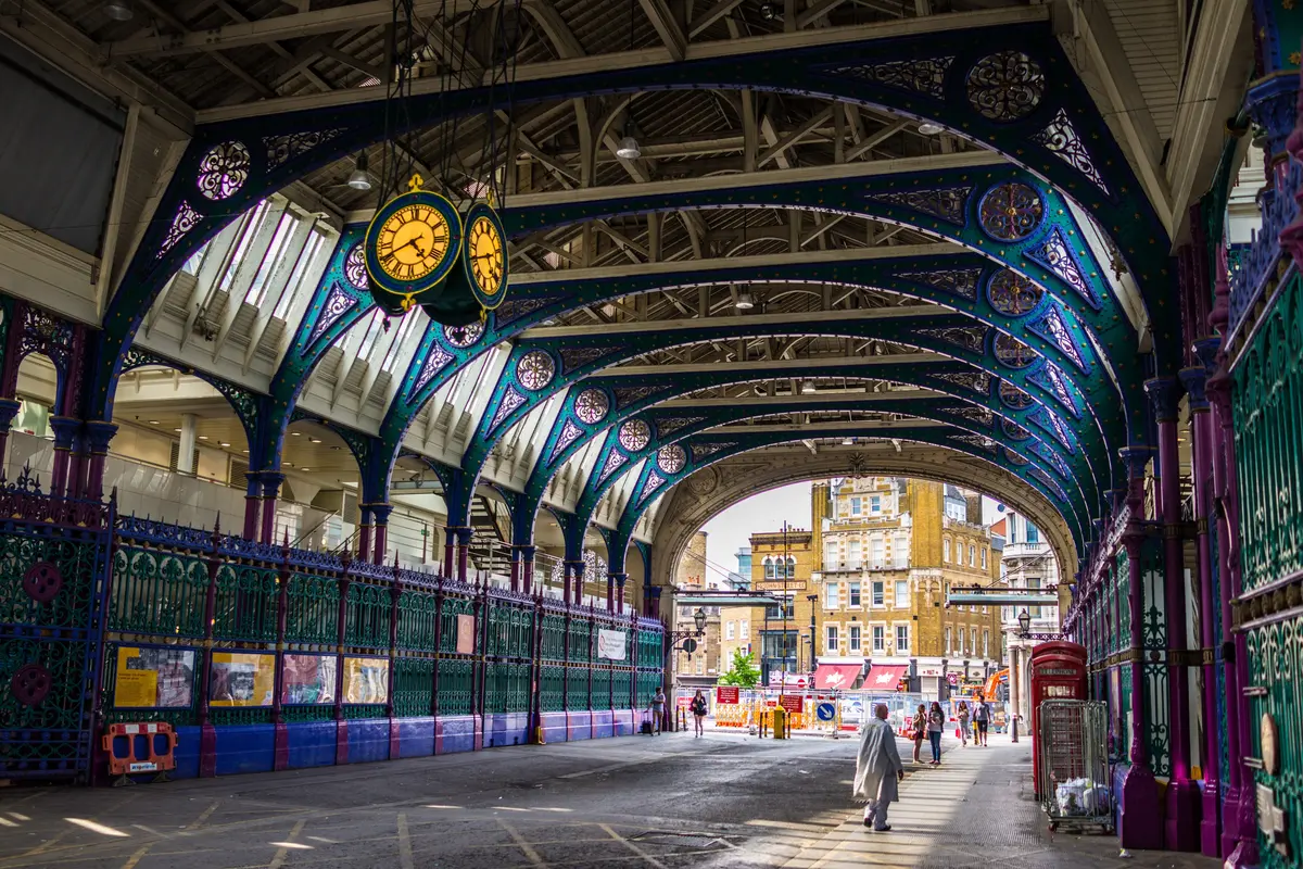 Look Up! Everyday Wonders Are Everywhere