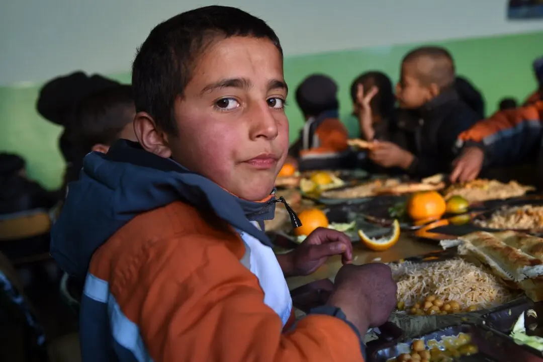 About 866 Million Illnesses Linked to Contaminated Food Annually: WHO