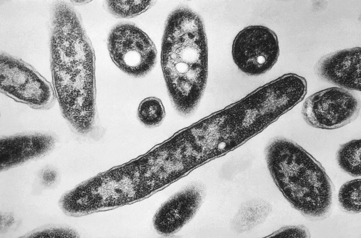 Legionnaires’ Cases Rise in Manhattan’s Upper East Side as Dozens of Cooling Towers Test Positive
