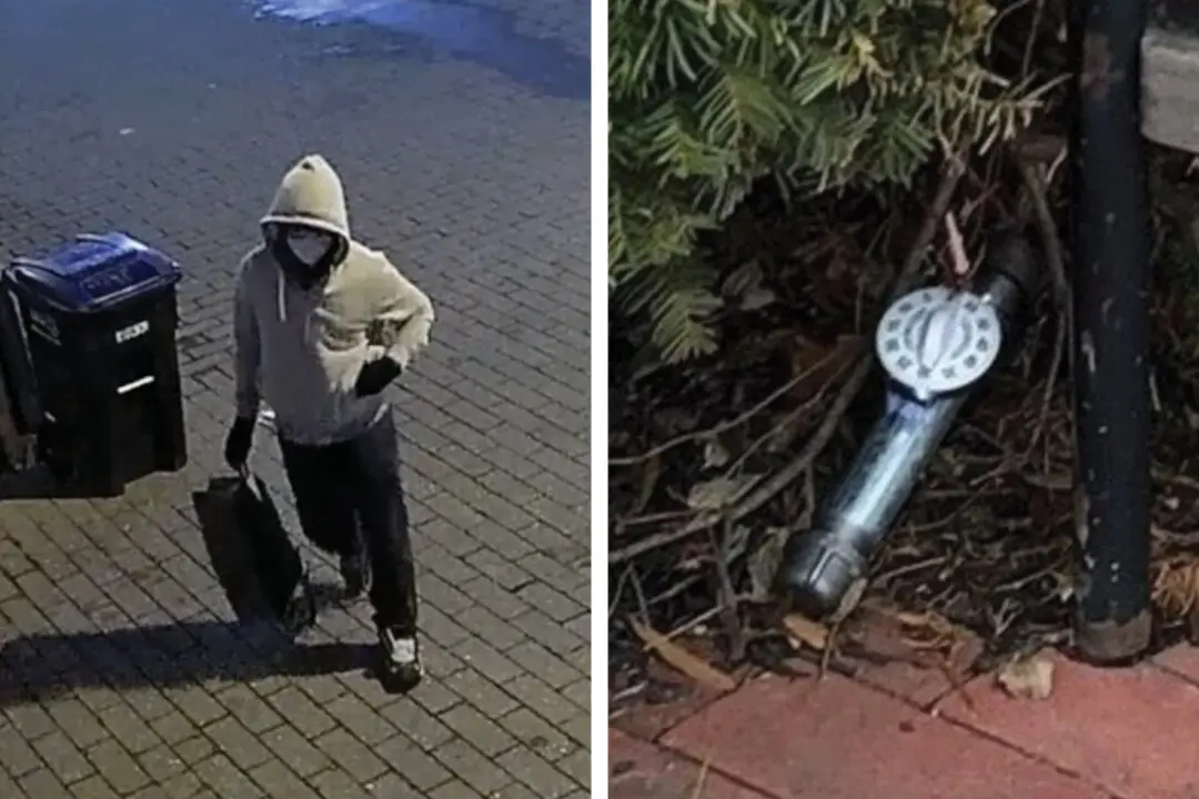 Jan. 6 Pipe Bomb Suspect Confessed, Prosecutors Say, as Defense Scrutinizes Case