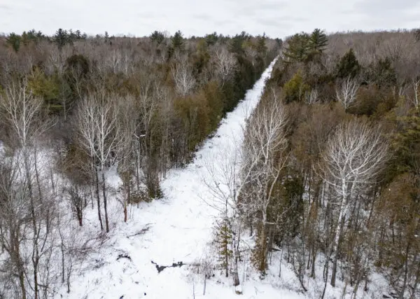LIVE NOW: Snow Blankets Syracuse as Winter Storm Sweeps Across the Northeast