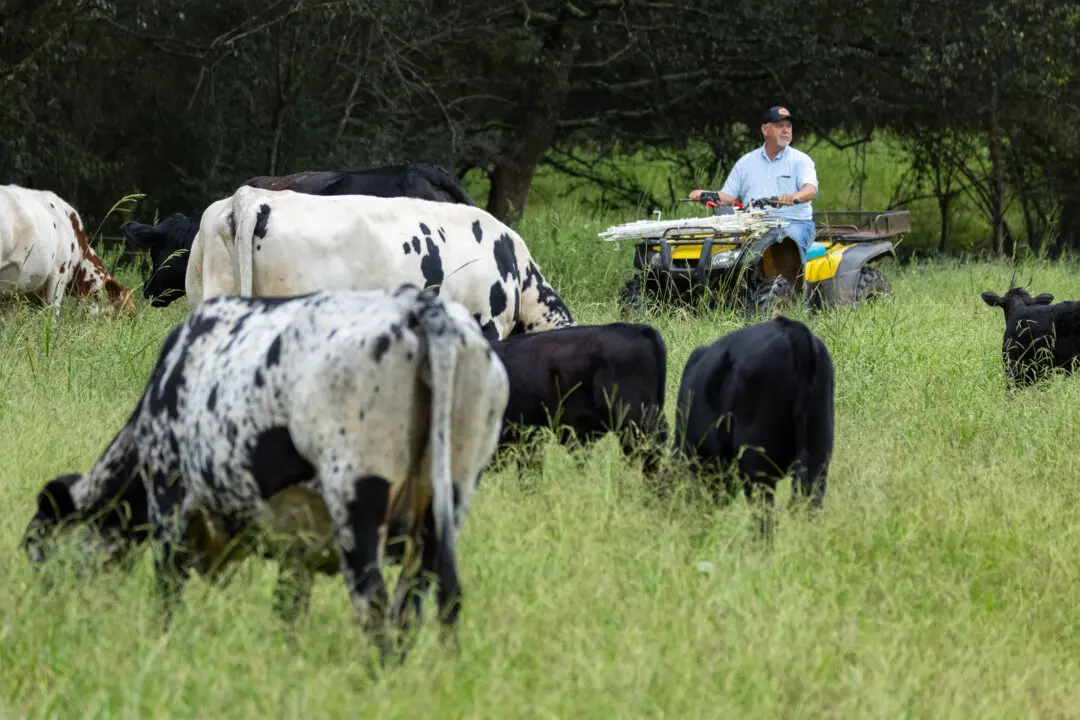MAHA Movement Emphasizes Shift Away From Glyphosate to Regenerative Farming, Eating Real Food