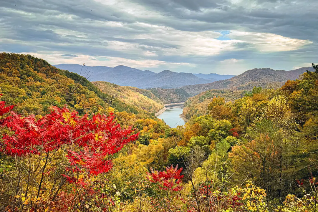 Tune in Today: Celebrating Vivaldi’s ‘Autumn’