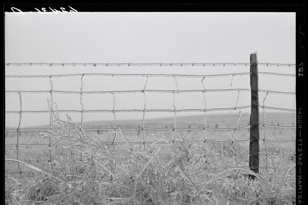 Joseph F. Glidden: The Man Who Fenced in America