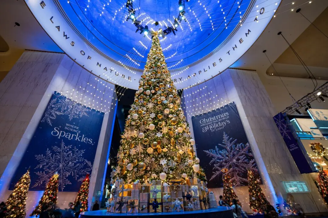 Taking the Kids: 16+ Ways for Holiday Cheer Without Busting the Budget