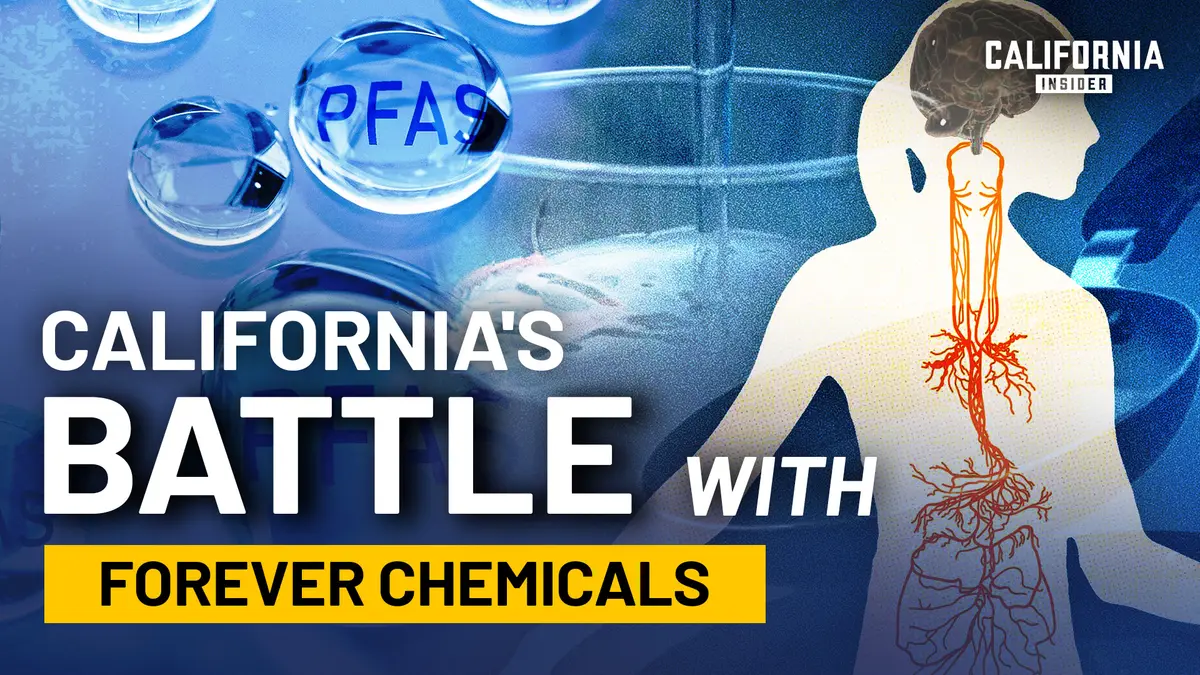 What Are Forever Chemicals and What Is California Doing About Them? thumbnail