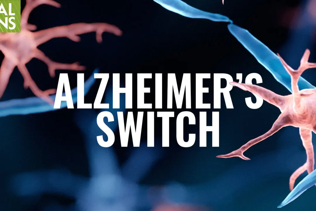 Shift Immune Cells From Attack to Brain-Defense Mode | David Perlmutter MD