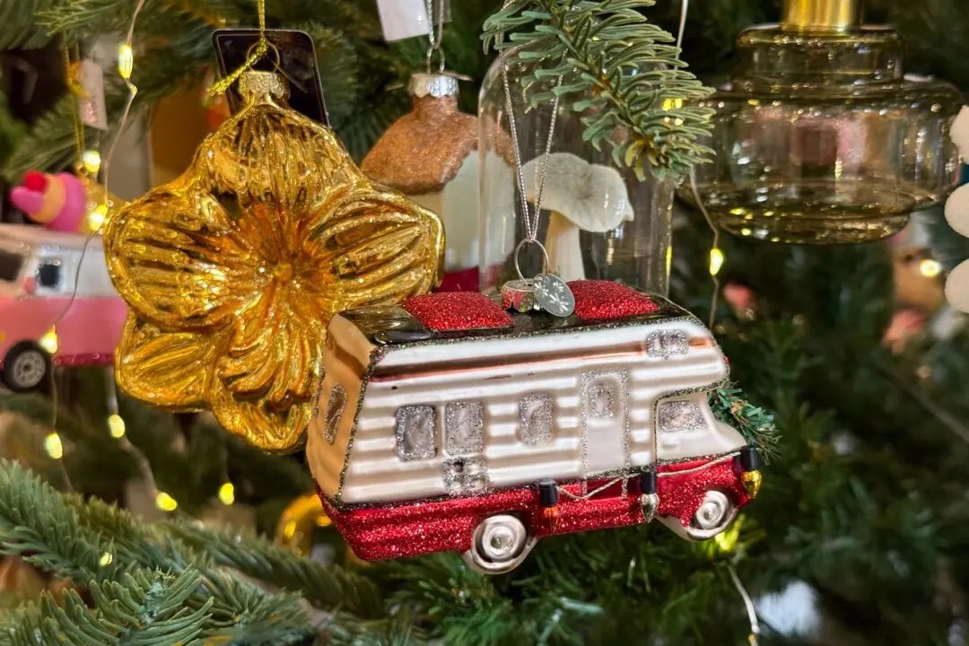 Taking the Kids: It’s Time!