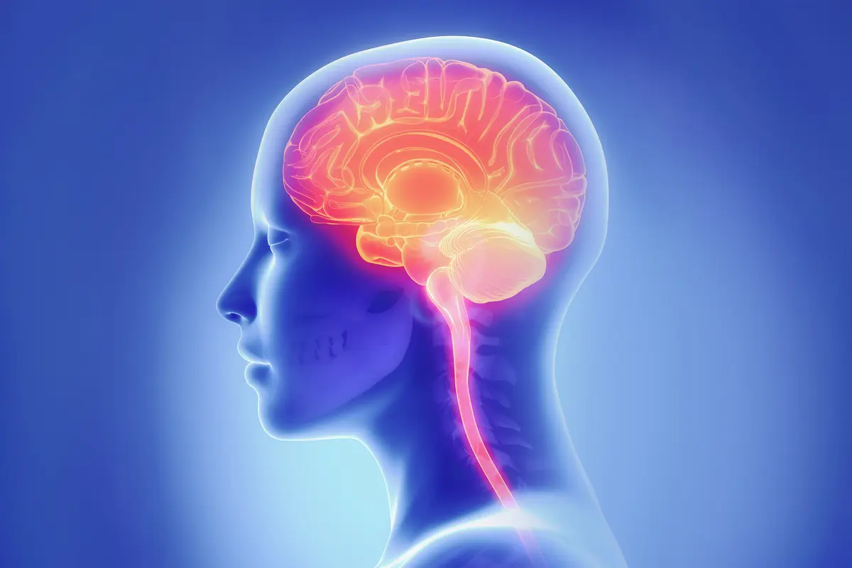 How a Bad Night’s Sleep Affects the Brain’s Cleaning System