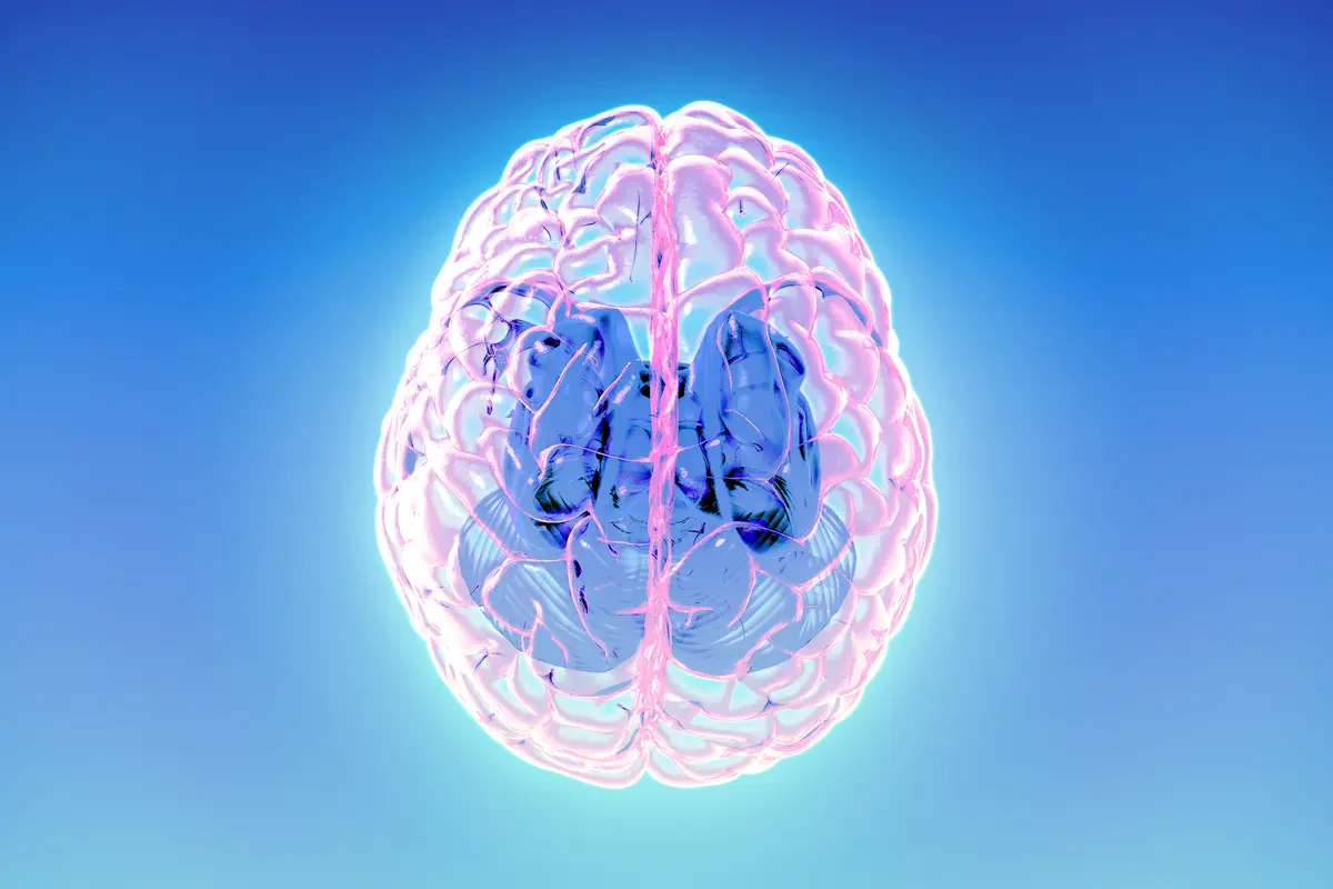 Brain’s ‘Cleaning System’ Reveals Dementia Risk 10 Years in Advance