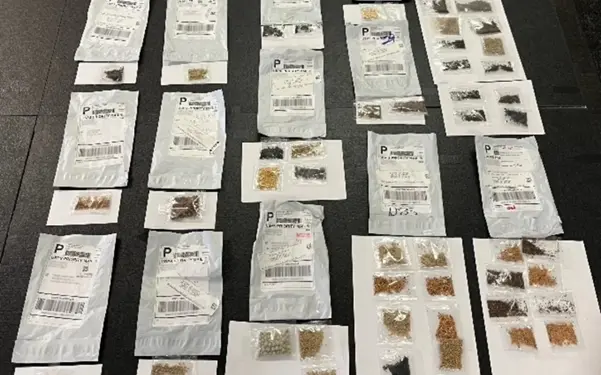 Texas Issues Warning About Unsolicited Seed Packages From China