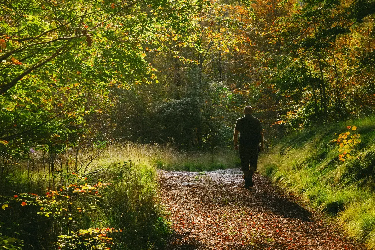 Your Brain on Boredom: Why Doing Nothing Might Be Essential thumbnail