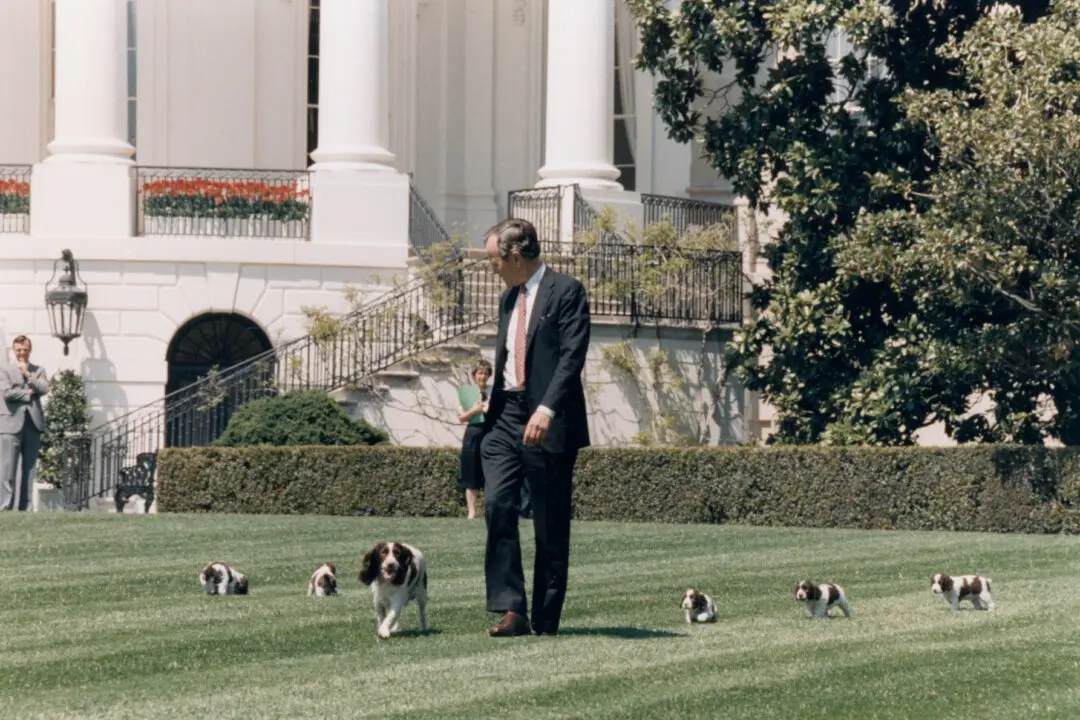 Laughter in the Oval Office: Presidents and the Healing Power of a Well-Timed Joke