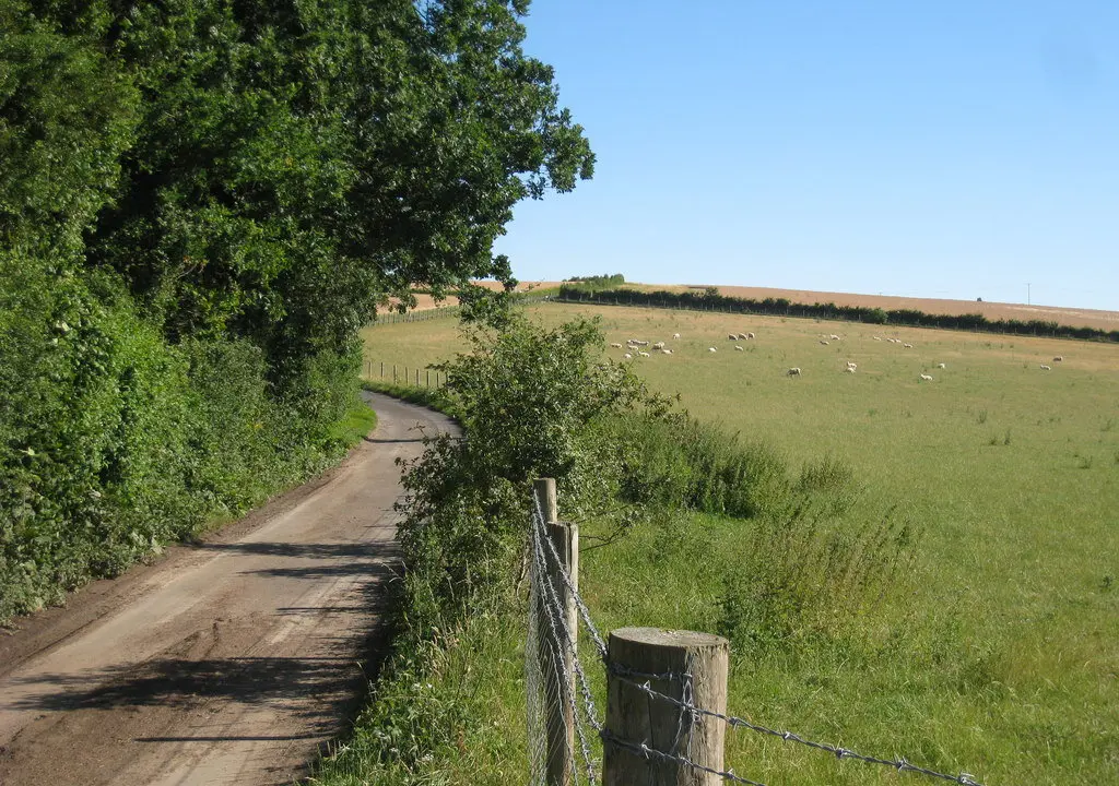 Building for Eternity: Rome’s Engineering Genius