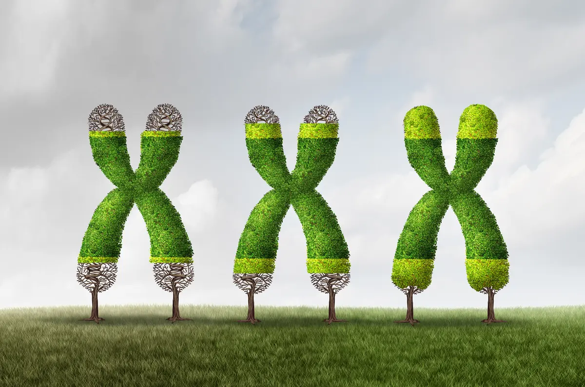 We Shorten Our Lives in All Kinds of Ways—But There May Be a Way to Reverse It