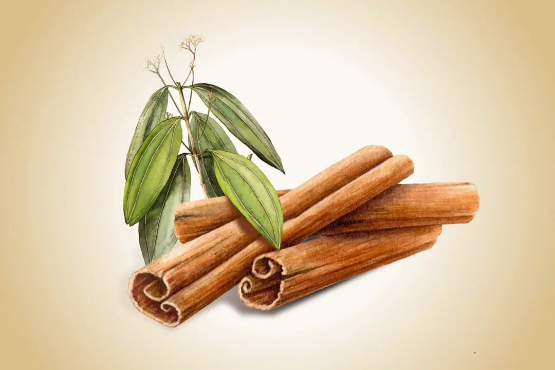 Cinnamon: A Functional Spice That Improves Blood Sugar and Fights Bacteria