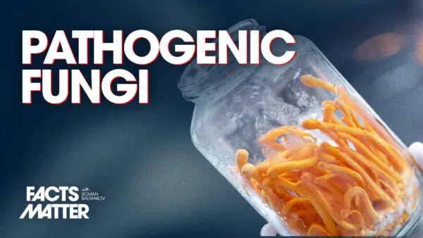 Two Pathogenic Fungi Crossed the Species Barrier—Can Now Infect Humans