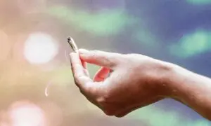 How Marijuana Has Changed in Effects and Potency