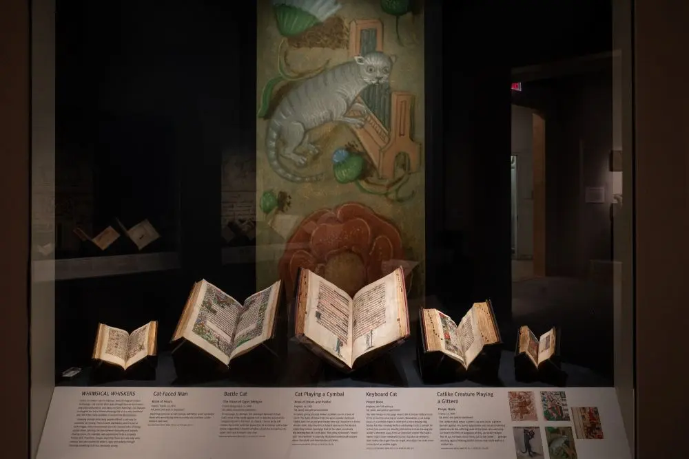 Medieval Feline Fascination