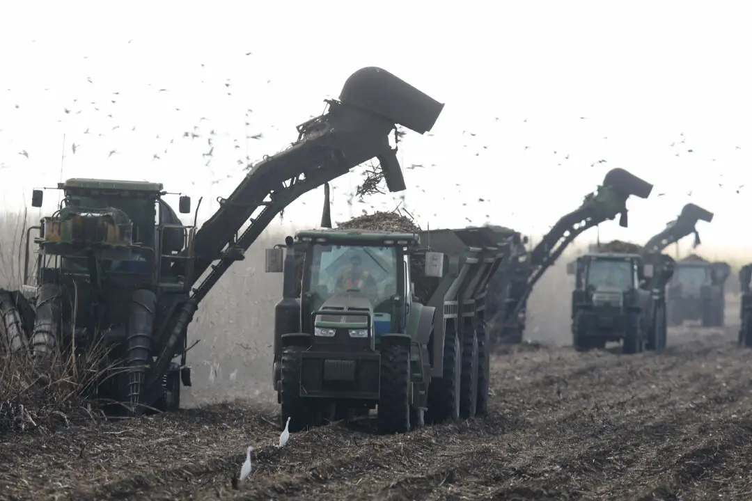 Defamation Provision in Florida Farm Bill Draws Pushback From MAHA Advocates