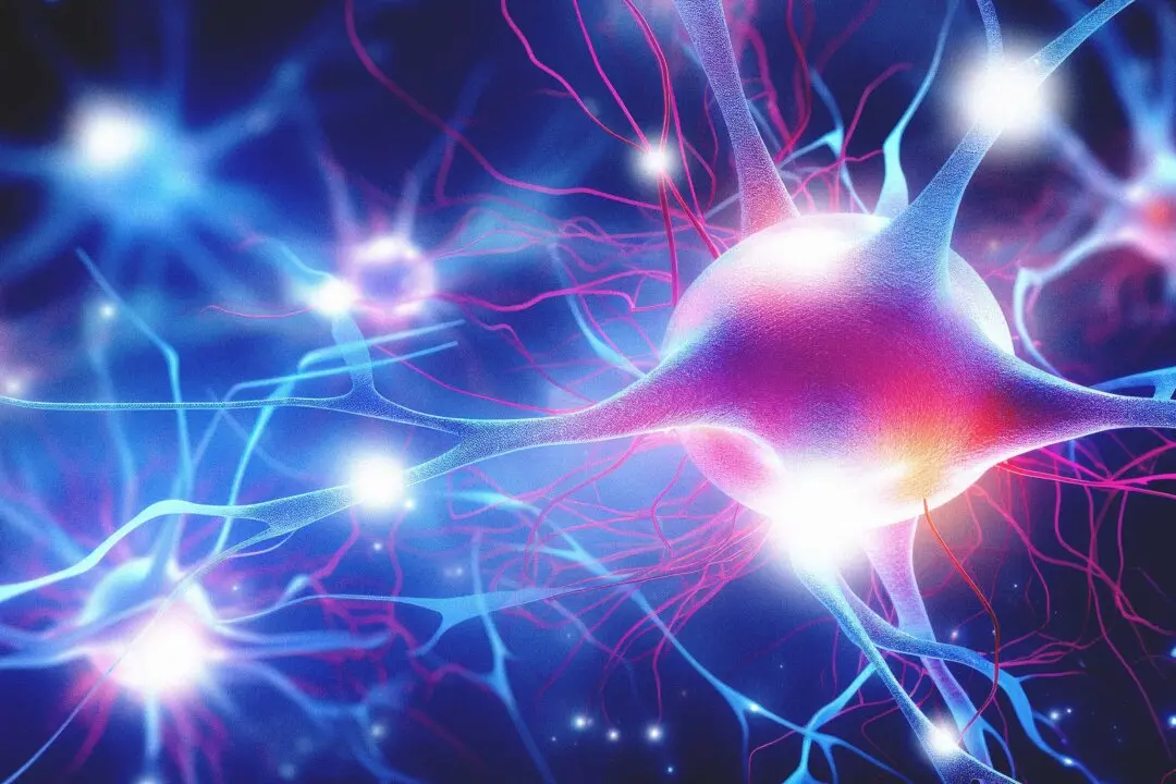 Mitochondria May Contribute to Chronic Nerve Pain: 4 Ways to Relieve It