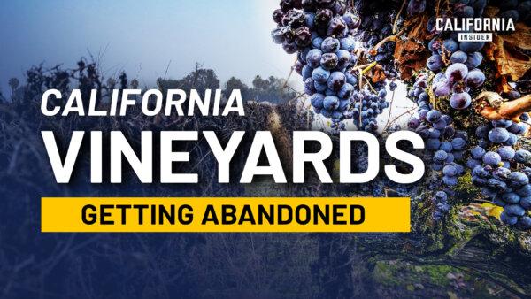 Why California’s Wine Industry Is Under Strain Right Now