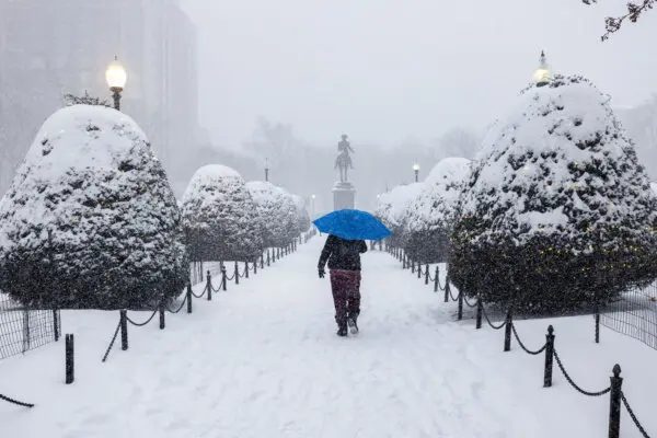 Massachusetts Governor Healey Provides Winter Storm Update