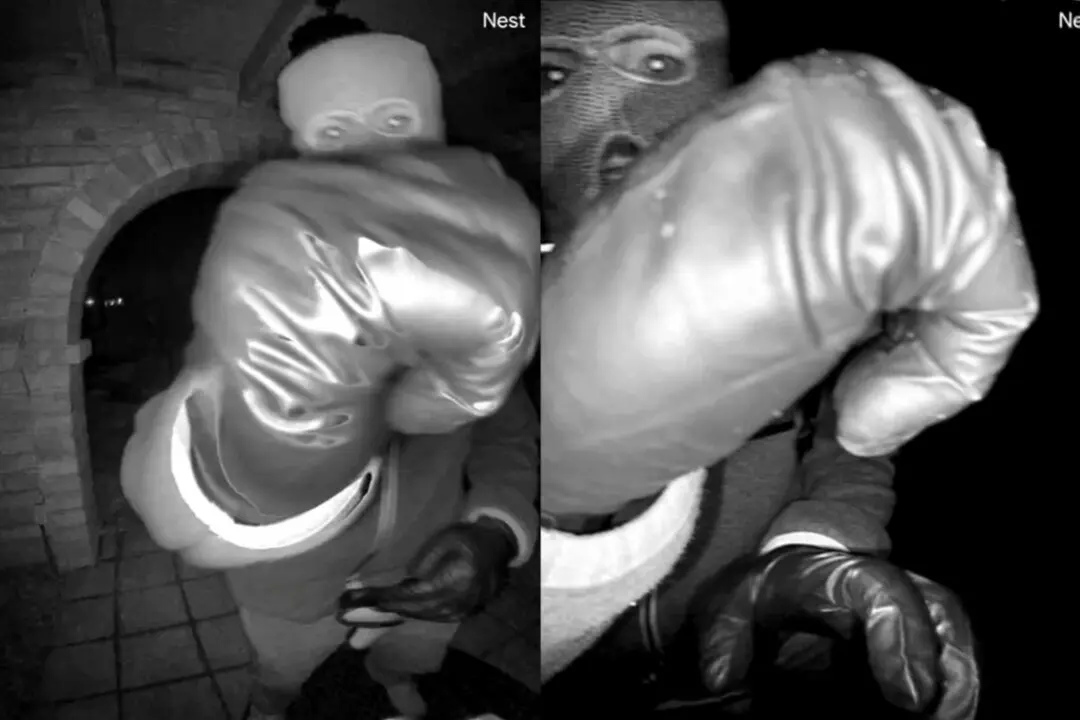 FBI: Glove With DNA Appears to Match Gloves of Suspect in Guthrie Video