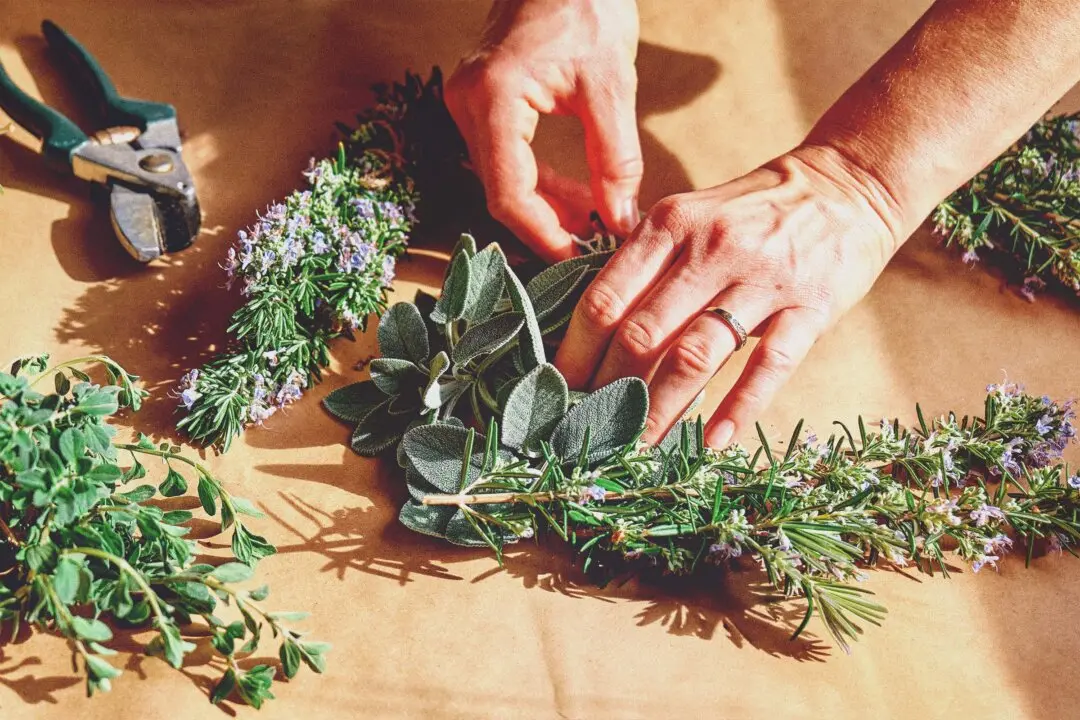 6 Simple Ways to Turn Everyday Herbs Into Healing Remedies
