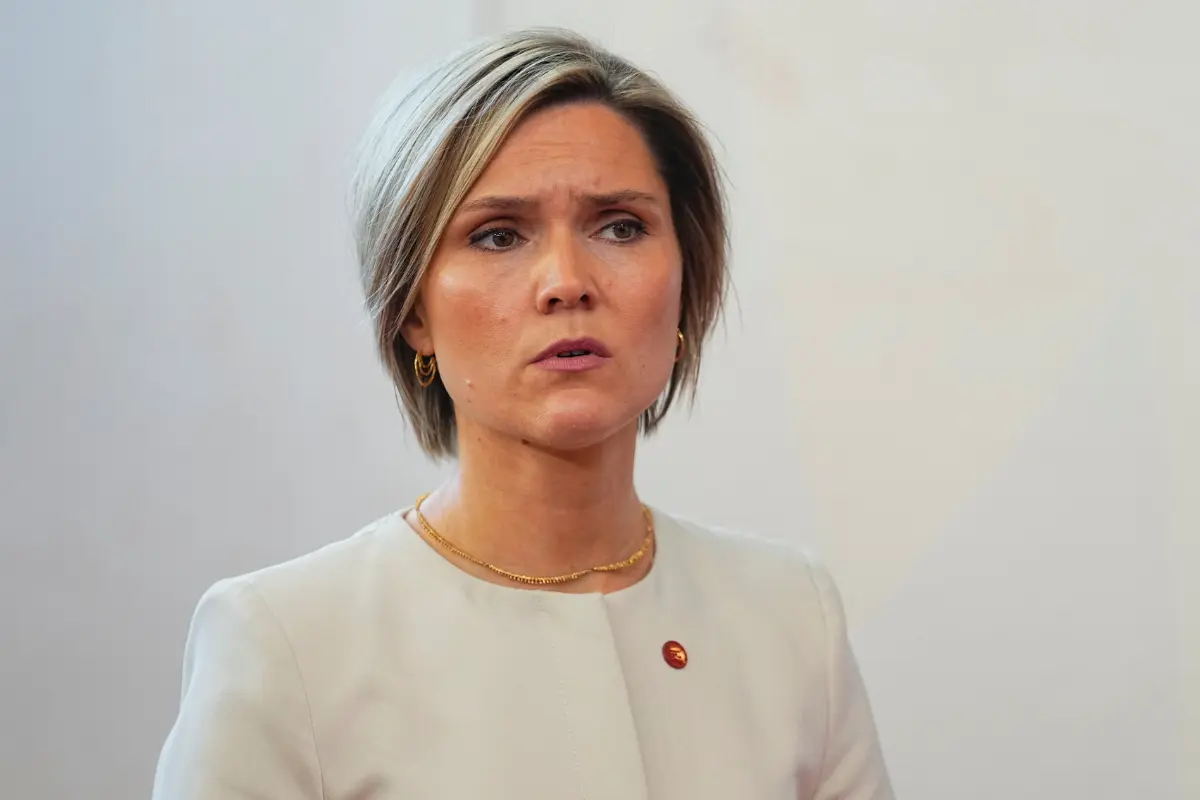 Iceland’s Parliament Votes to Hold Referendum on Restarting EU Membership Talks