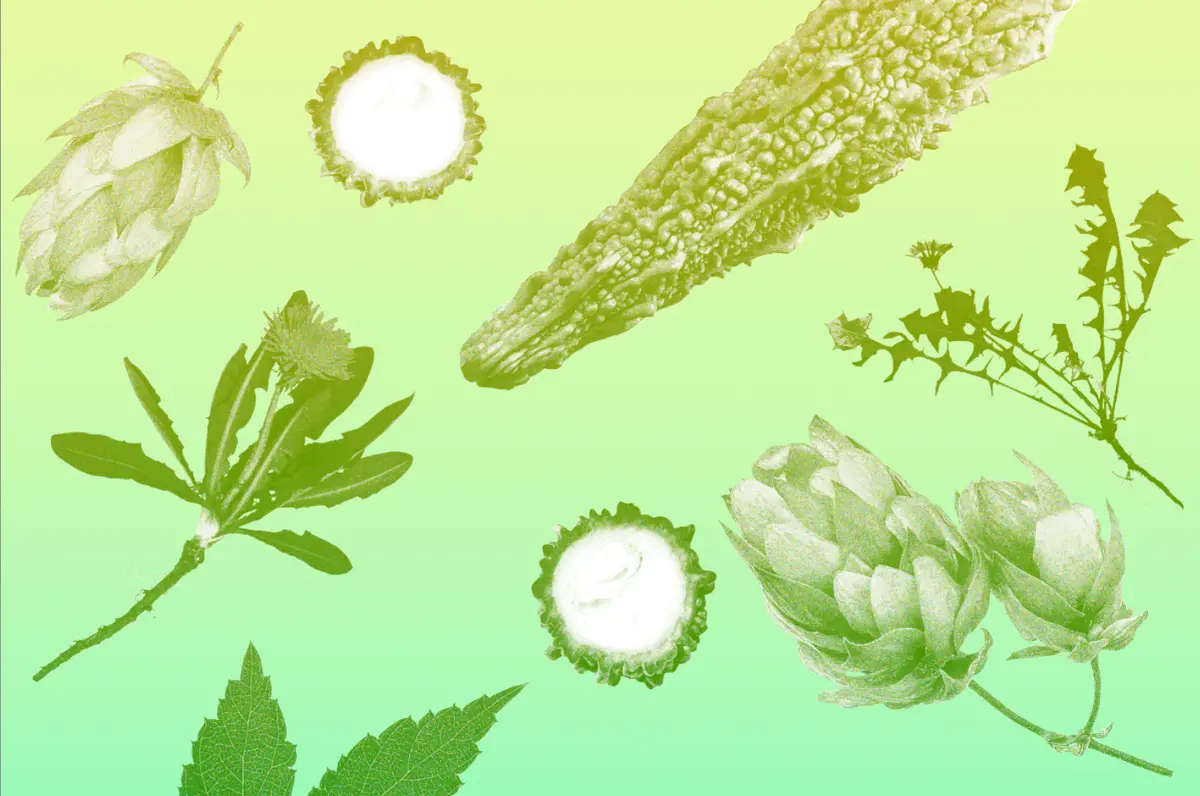 Why You Need to Eat More Bitter Foods