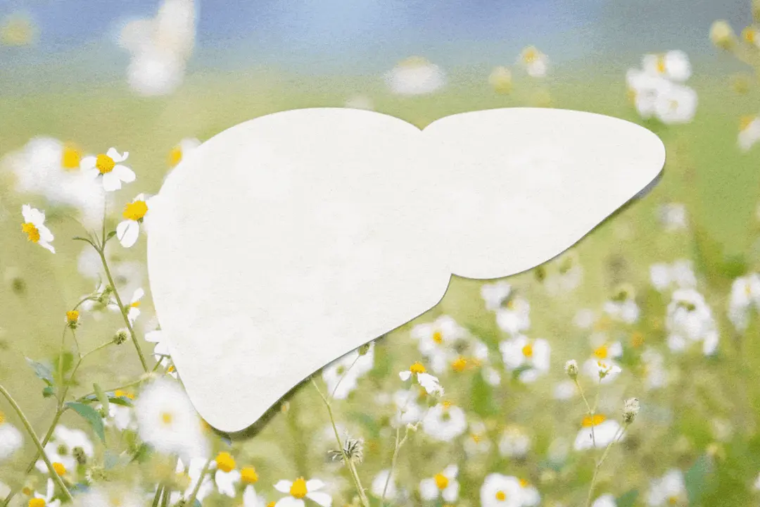 Warning Signs of Liver Imbalance and Natural Spring Renewal