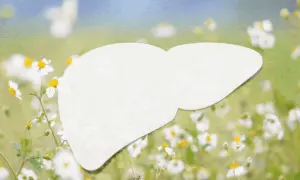 Warning Signs of Liver Imbalance and Natural Spring Renewal