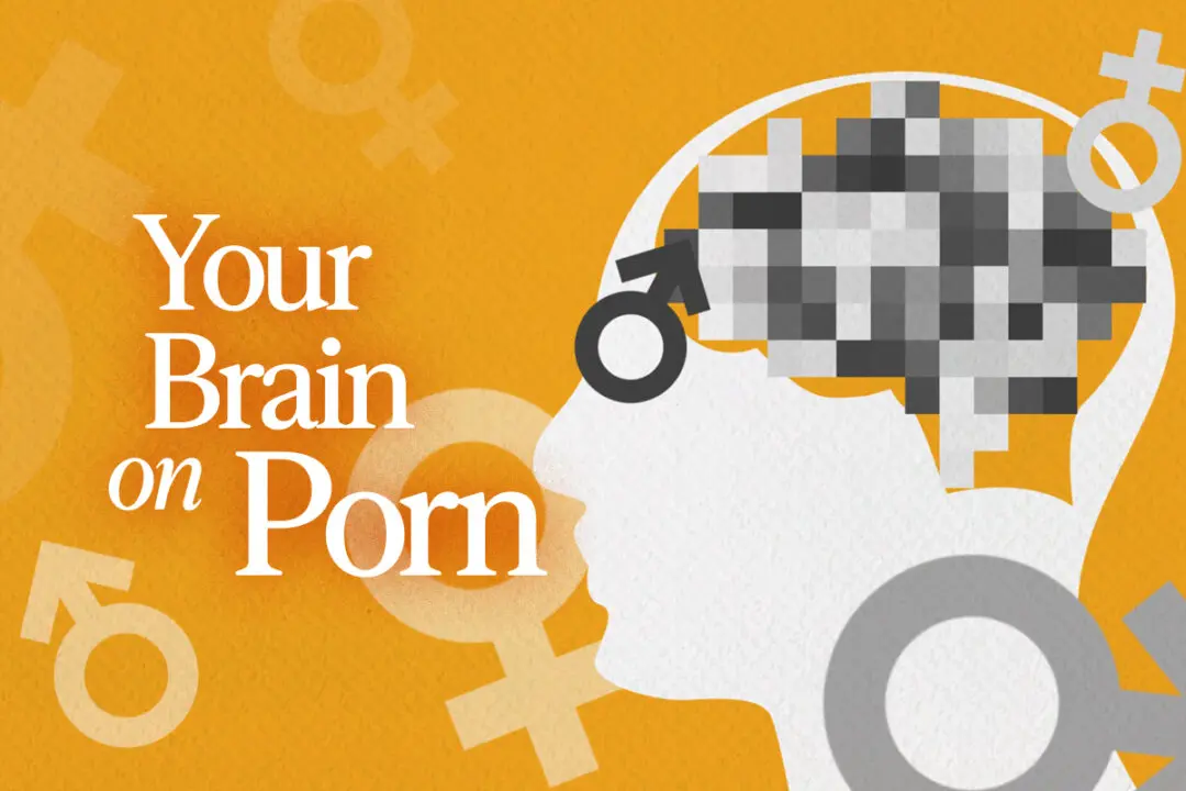 What Does the Brain Look Like on Pornography?