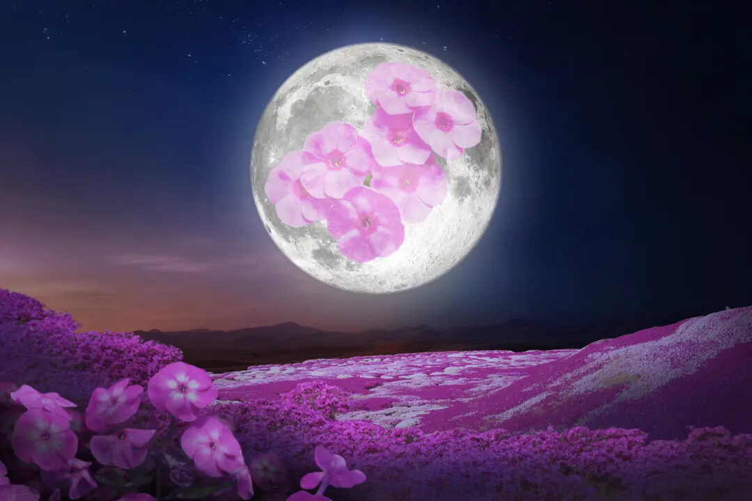 April’s Full ‘Pink Moon’ Will Light Up the Night Sky to Welcome Spring—Here’s What to Know