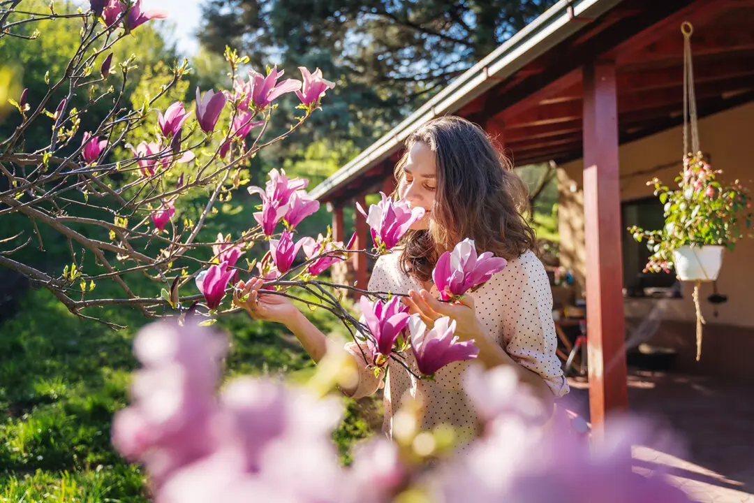 Awaken Your Senses: 5 Ways to Bring Spring Into Your Home