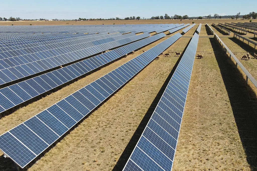 Call for Nationwide Ban on Sending Solar Panels to Landfill Amid Vast Waste Concerns