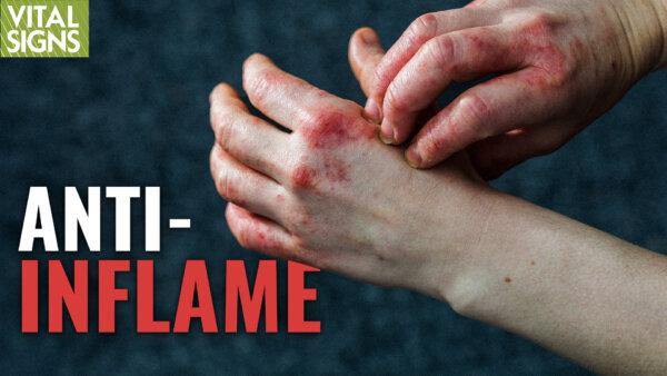 How to Reboot Your Immune Sys to Stop Allergies, Arthritis, Gut Issues | Jeffrey Bland PhD