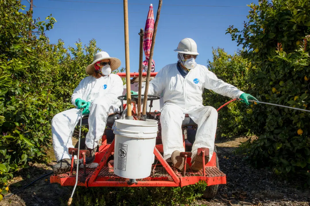 Texas AG Launches Investigation Into Glyphosate in Food