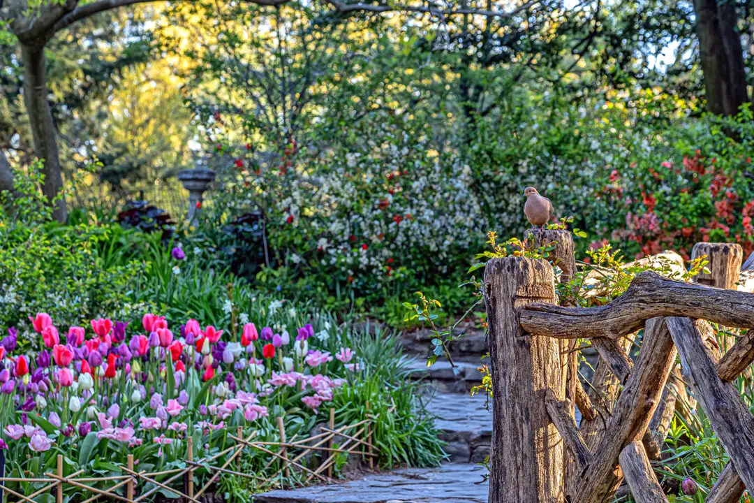 Shakespeare Gardens Bring the Poet’s Language to Life