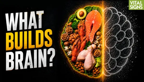 Which Protein, Fats for Brain Health? What’s Missing from the New Pyramid? | David Perlmutter MD