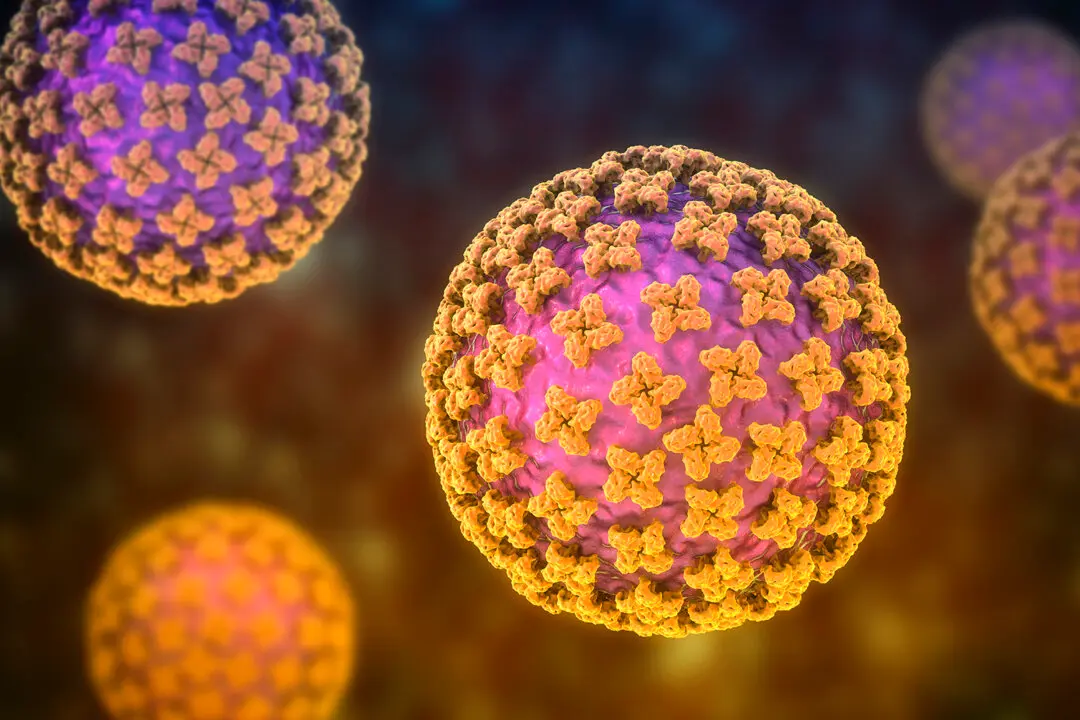 Hantavirus: A Rare yet Deadly Virus Strikes Cruise Ship—What to Watch Out For