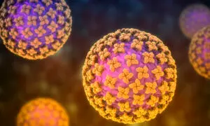 Hantavirus: Rare yet Deadly Virus Strikes Cruise Ship—What to Watch Out for