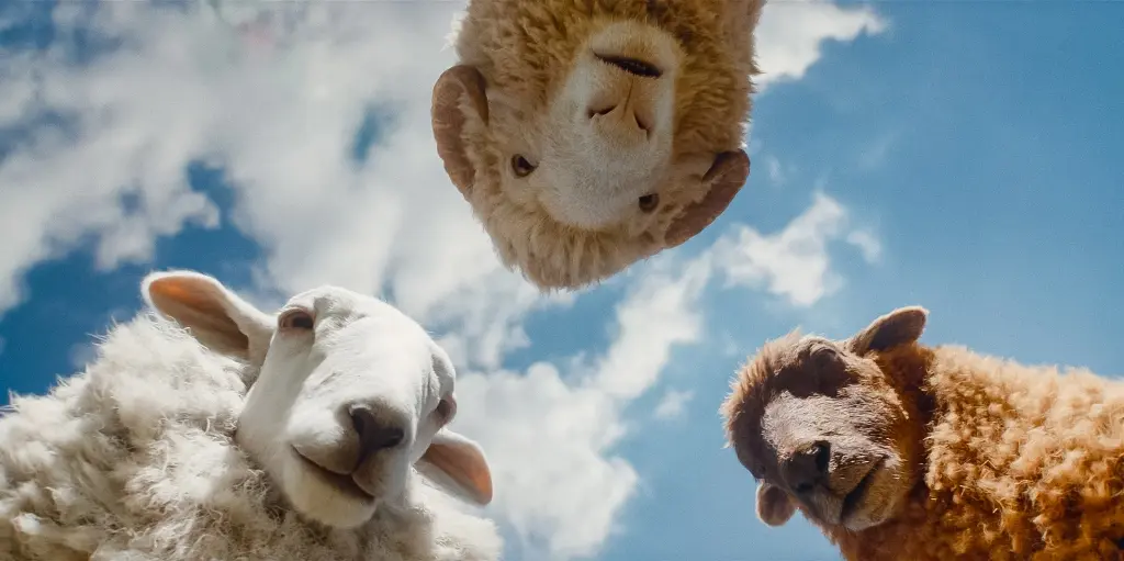 ‘The Sheep Detectives’: Movie Lightning Struck Twice on May 8, 2026