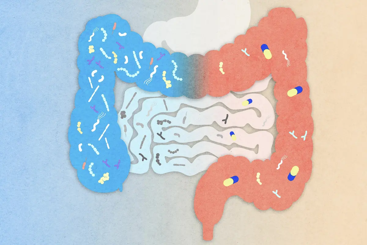 Modern Meds Changed the Gut Profile of Remote Villagers, Scientists Find