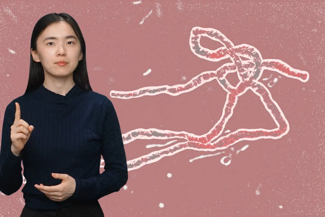 The Main Facts About the Ebola Virus