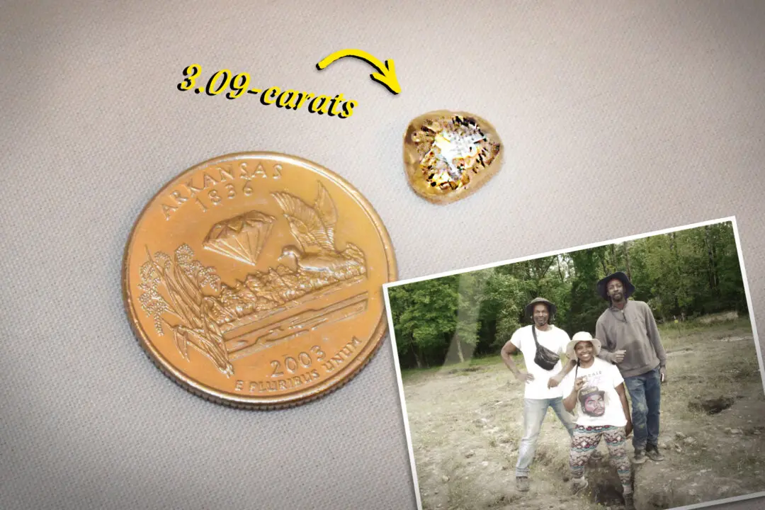 Grieving Pennsylvania Woman Finds 3-Carat Diamond in State Park—And a Flicker of Hope