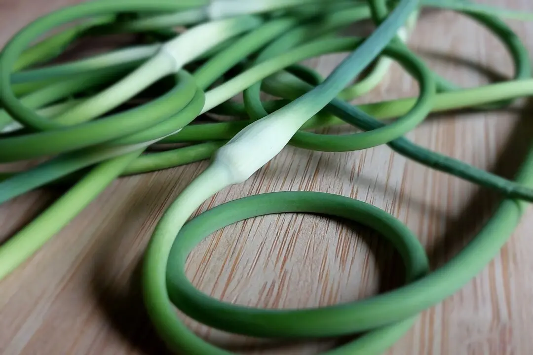 Garlic Scape Pesto: An Advance on Your Fall Harvest