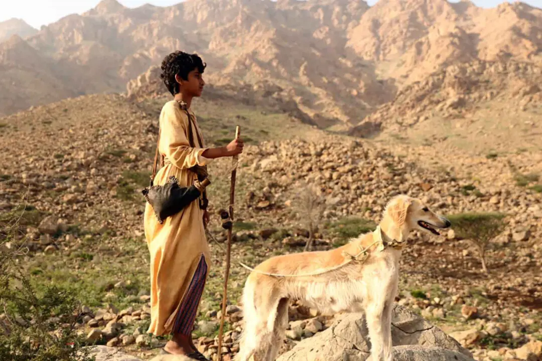 ‘Mountain Boy’: A Boy on His Own in the Desert